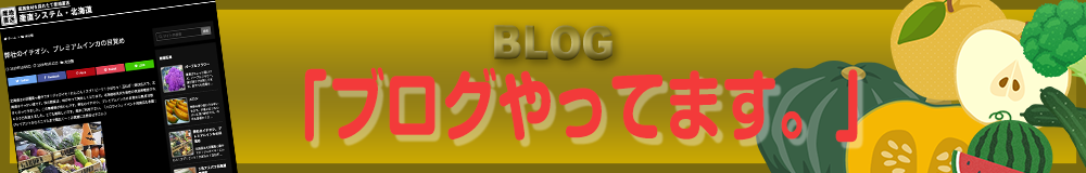 ブログやってます